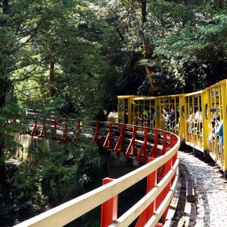 宜蘭大同｜ 宜蘭太平山蹦蹦車體驗｜車票真的難買｜