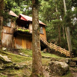 新北健行｜滿月圓國家森林遊樂區｜簡單負離子步道行程