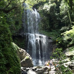 新北健行｜雲森瀑布步道｜低門檻秘境！輕鬆抵達的絕美景點
