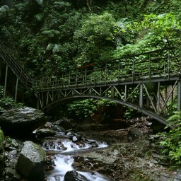 宜蘭健行｜林美石磐步道｜礁溪亞熱帶雨林步道