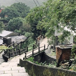 新北瑞芳｜九份_山尖路觀光步道｜滿滿和風氣息!金瓜石水圳橋遺跡