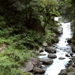 新北烏來｜內洞國家森林遊樂區｜水墨畫般內洞瀑布群