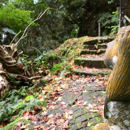 新竹竹東｜五指山金龜岩.猴洞步道｜奇岩巨石一線天．意料之外楓紅美景