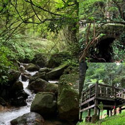 新竹橫山｜騎龍古道｜懷舊古意.清涼感滿載的溪水古道
