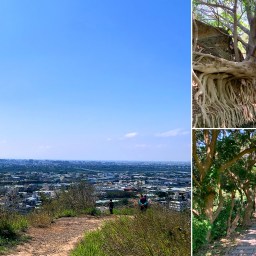 台中烏日｜知高圳步道｜360度荒地大景．漫步水圳樹林間