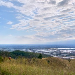 台中大肚｜萬里長城．旗開得勝步道｜藍天枯木．漫步山脊大景