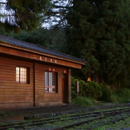 嘉義阿里山｜二萬坪車站｜走入靜謐森林鐵道．擁抱神木、夕陽、雲海